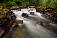 Brice Creek
